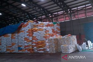 stok beras di natuna