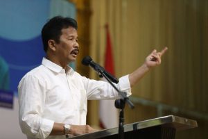 Jembatan layang seiladi