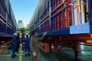 ekspor ayam ke singapura