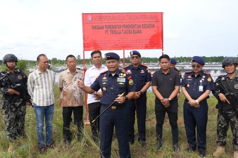 tambak udang di galang