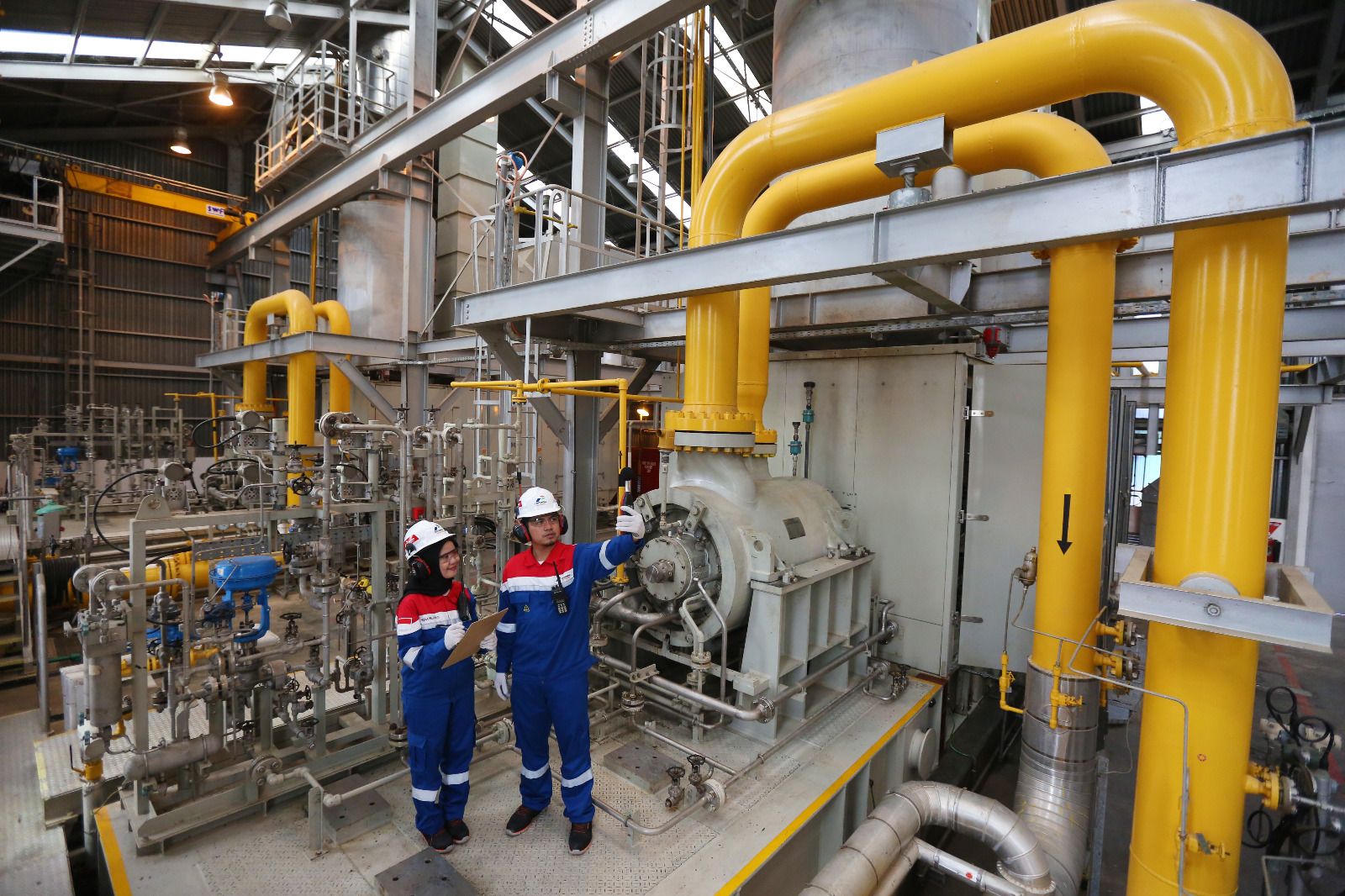 Permintaan gas bumi