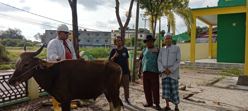 pwi karimun kurban sapi