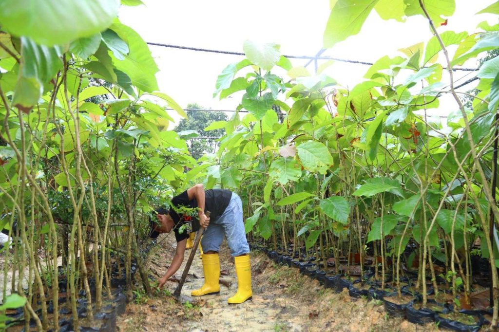 Batam Jati Emas