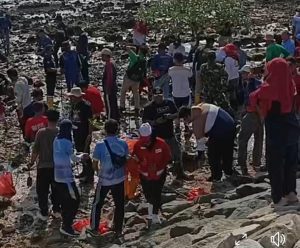 Penanaman 1000 bibit mangrove