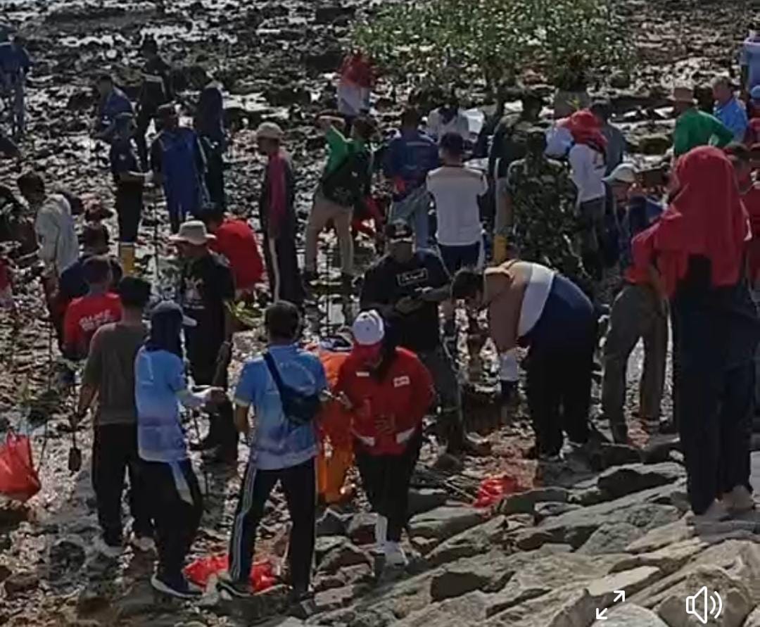 Penanaman 1000 bibit mangrove