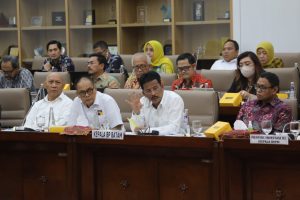 progres investasi rempang