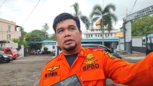 mitigasi pohon rawan tumbang