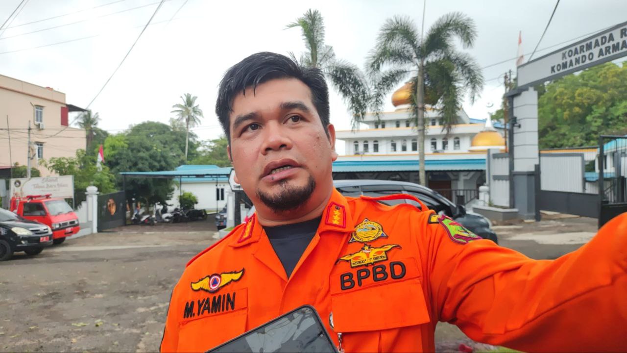 mitigasi pohon rawan tumbang