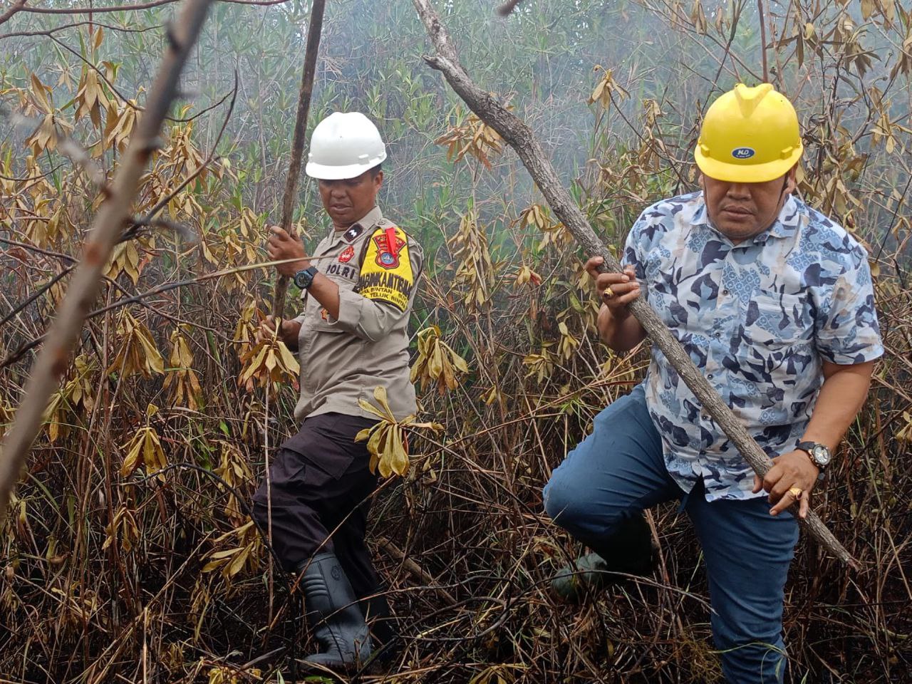 Kebakaran hutan di bintan