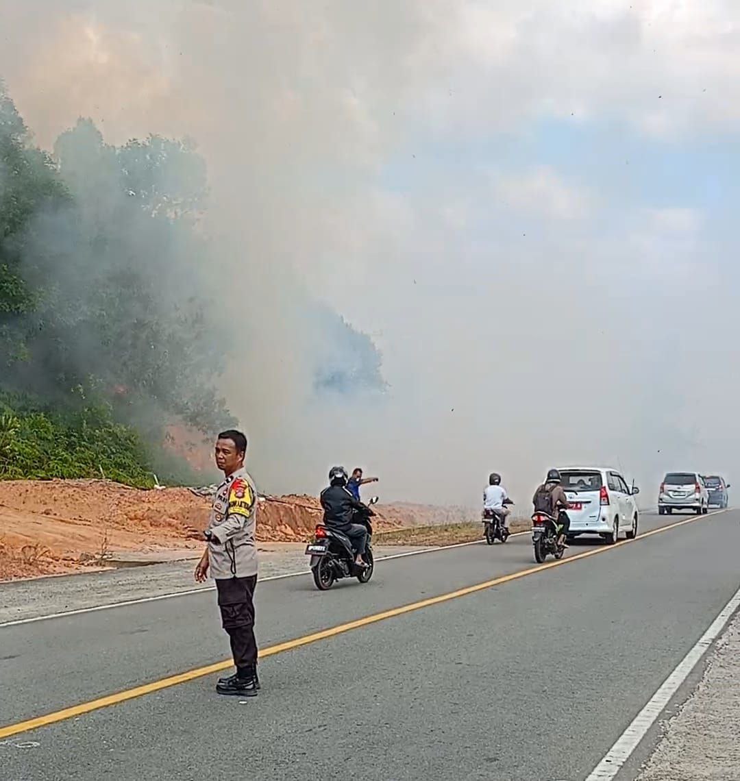 Kebakaran hutan di bintan