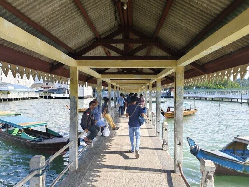 pelantar kuning penyengat