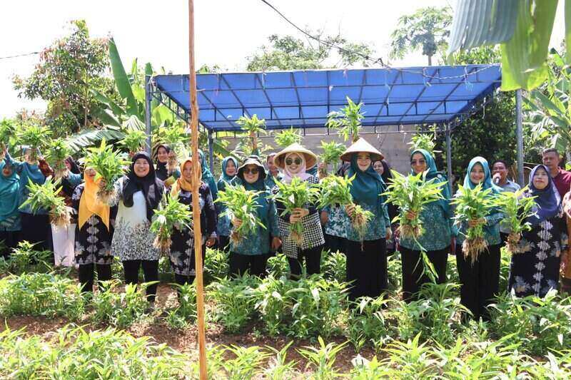 kebun binaan dasa wisma nila