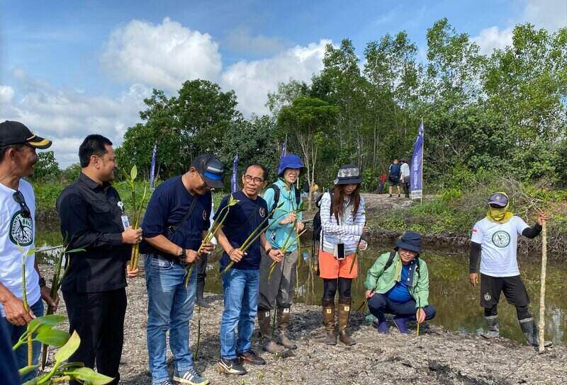 pwi kepri tanam mangrove