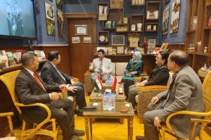 Perdagangan bebas asean-mesir