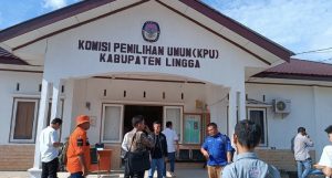Nasdem Lingga
