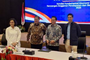 anggaran makan bergizi gratis