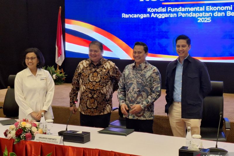 anggaran makan bergizi gratis