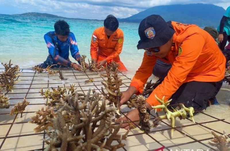 terumbu karang pulau senoa
