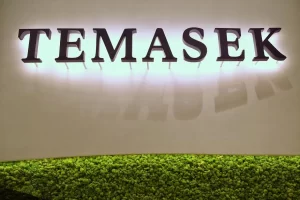 investasi temasek di AS
