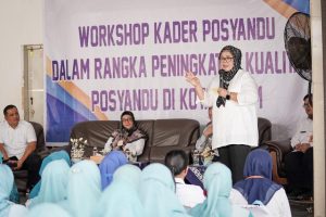 wakil gubernur wakil gubernur
