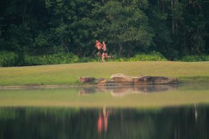 Mandiri Bintan Marathon 2024