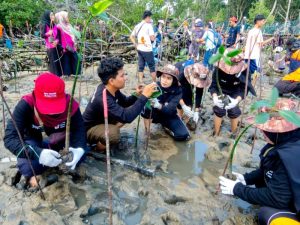 hari mangrove sedunia