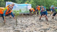 PLN Tanam Mangrove