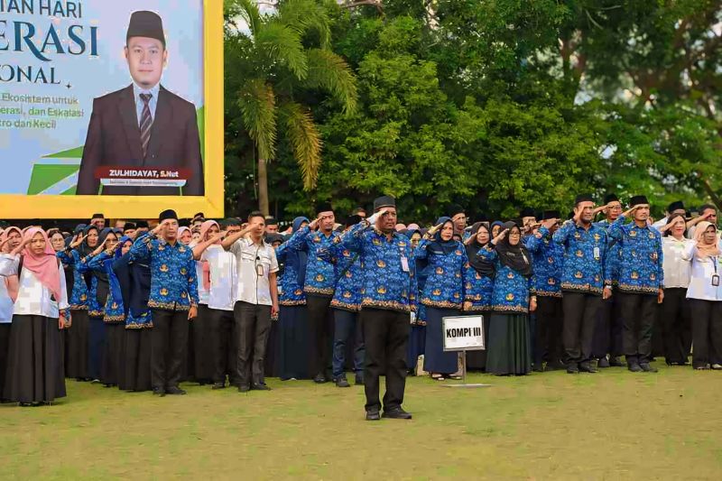 pendaftaran cpns tanjungpinang