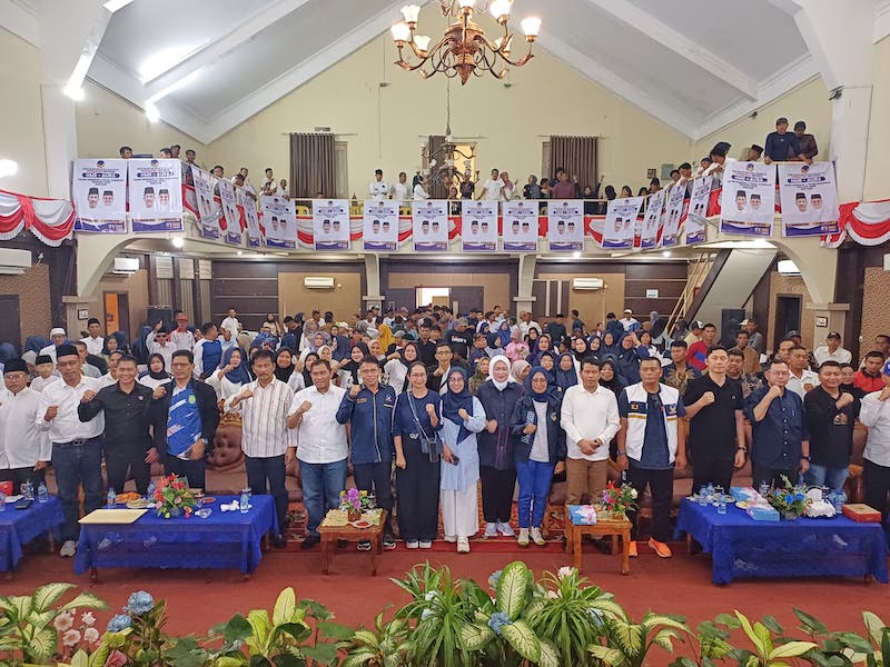 nasdem karimun