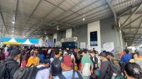 Calo Tiket Pelni
