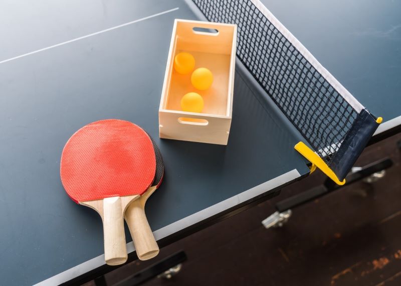 pengadaan tenis meja batam