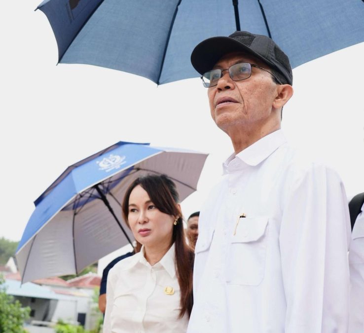 Pelebaran jalan di batam