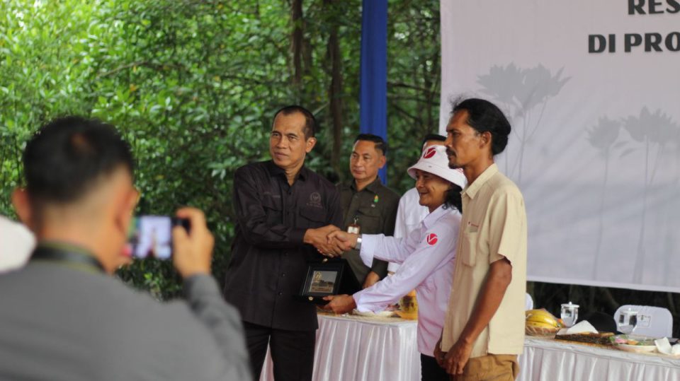 Mangrove batam