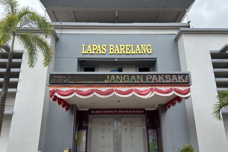 Napi jadi sarjana