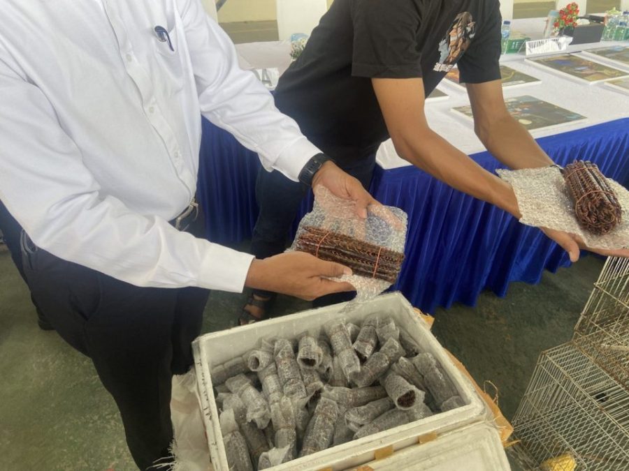 Penyelundupan hewan ke vietnam