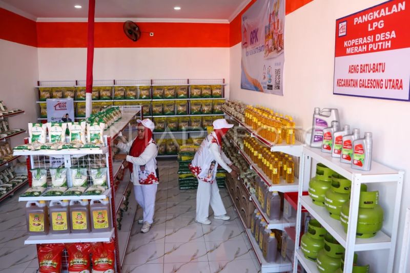 Contoh koperasi merah putih