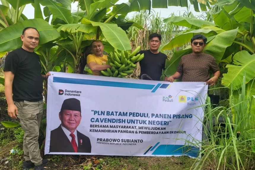 csr pln batam