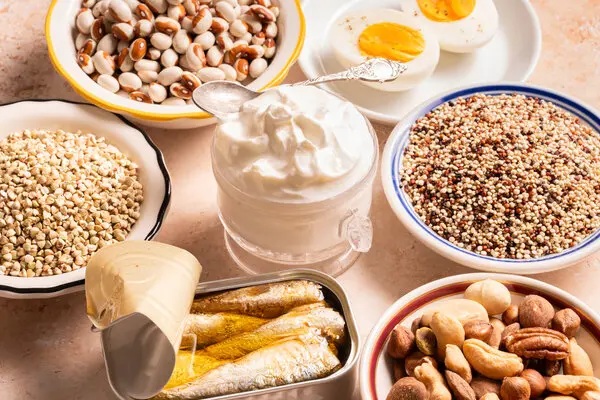 Protein untuk anak