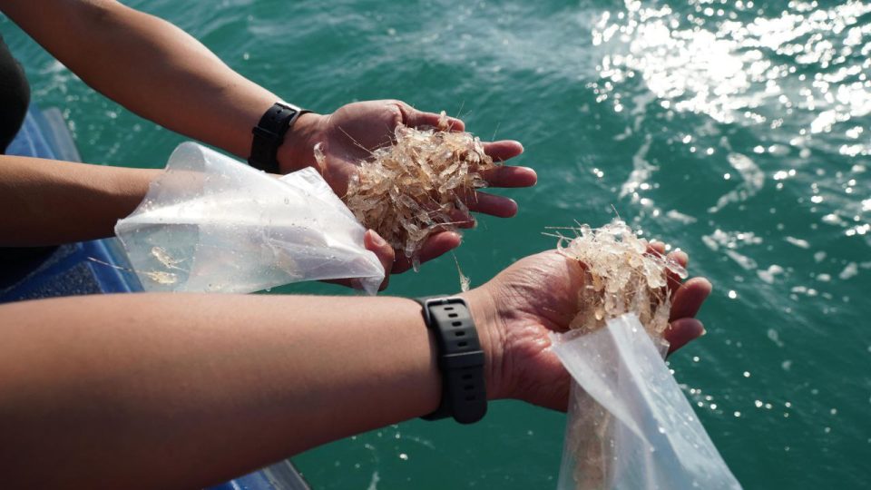 Penyelundupan benih lobster