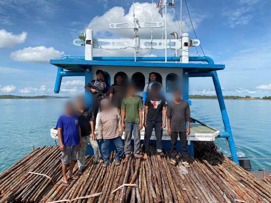 Penyelundupan bakau singapura