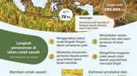 Infografis swasembada pangan