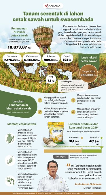 Infografis swasembada pangan