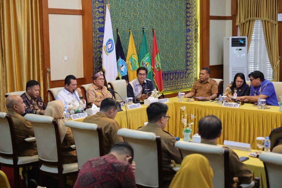 Gubernur kepulauan riau
