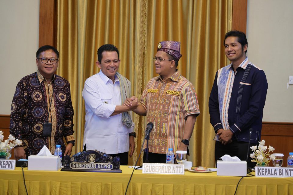 Pemerintah Provinsi Kepri
