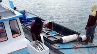 Koperasi rempang