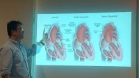 Ilustrasi anatomi aorta dan penjelasan gejala diseksi aorta.