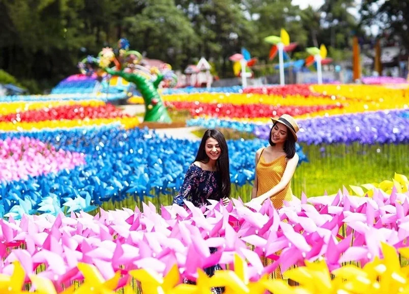 Dairyland Farm Theme Park