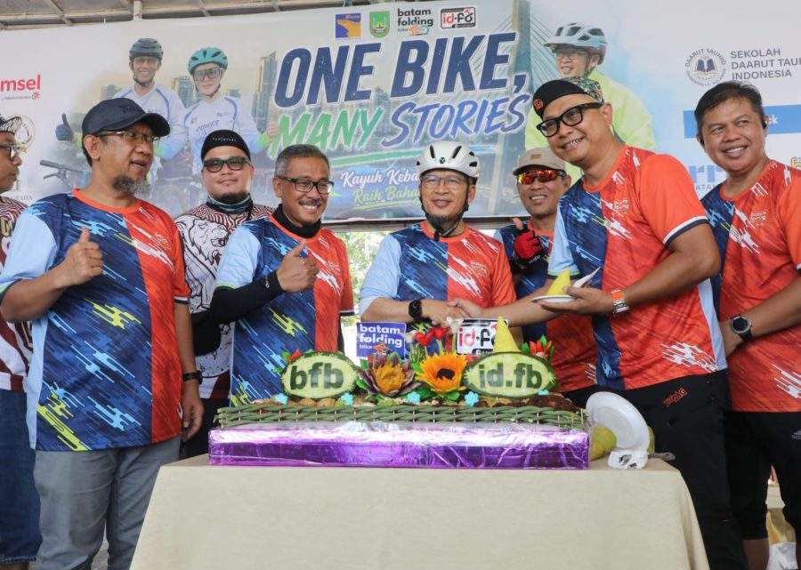 Batam folding bike