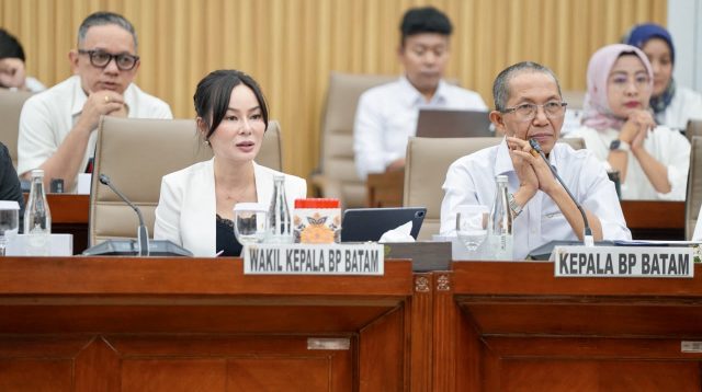 Kepala BP Batam Amsakar Achmad saat mengikuti RDP dengan Komisi VI DPR RI di Jakarta.
