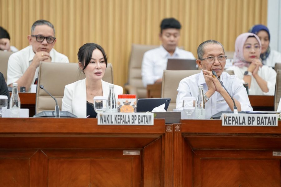 Kepala BP Batam Amsakar Achmad saat mengikuti RDP dengan Komisi VI DPR RI di Jakarta.